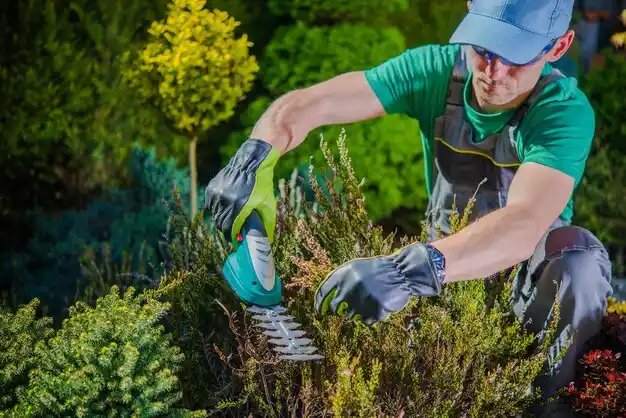 landscaping services Blue Springs